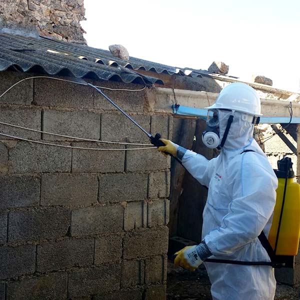 retirada de tejas con fribrocemento